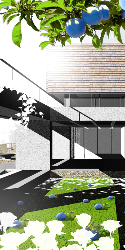 Idejno rešenje na konkursu za Ambasada Republike Srbije u Kanbera Australija